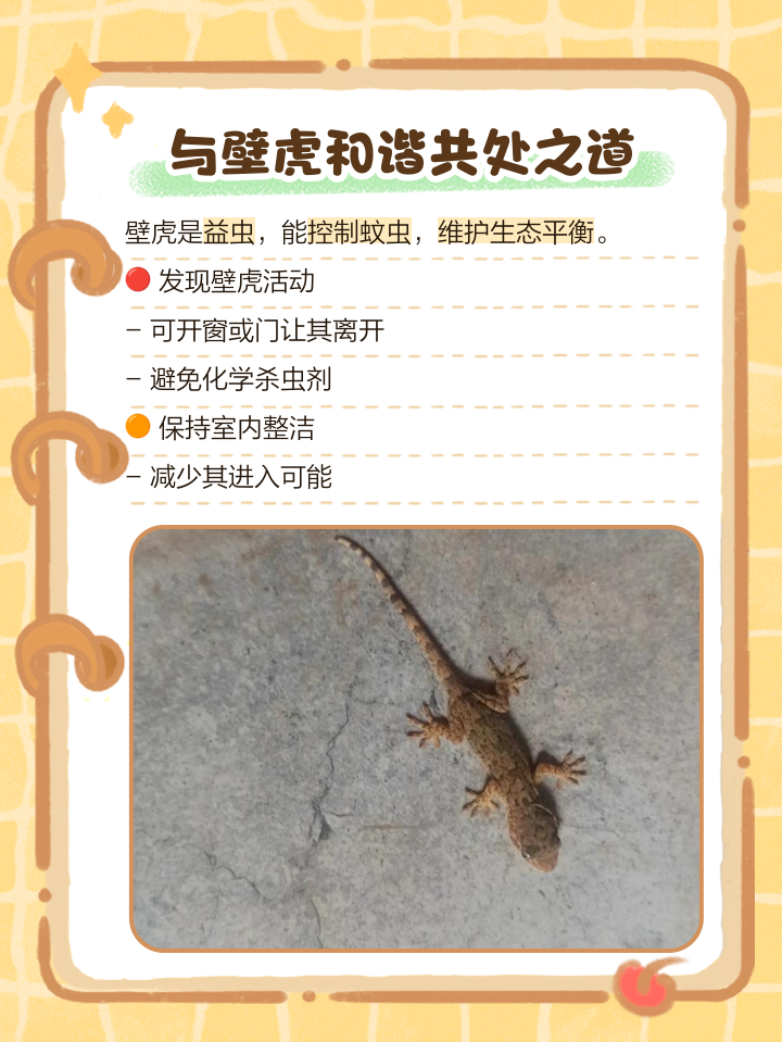 怎样驱赶壁虎(怎样驱赶壁虎最有效?温和方法和彻底驱赶方法有啥区别?)