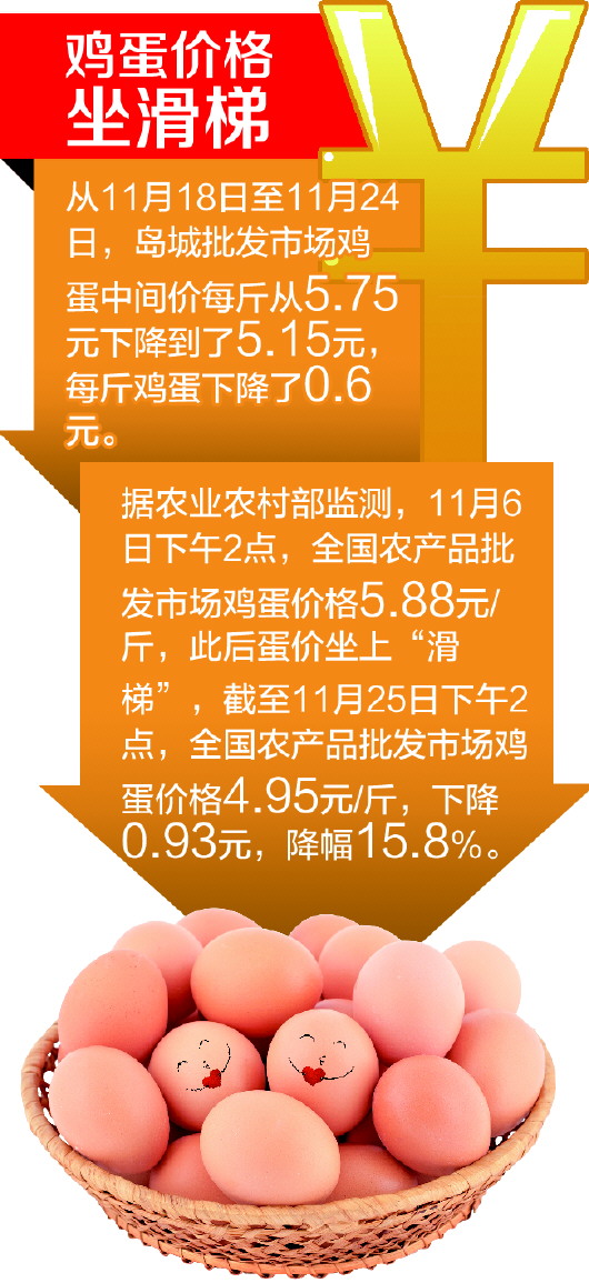 禽病网最新鸡蛋价格(禽病网全国鸡蛋价格行情)