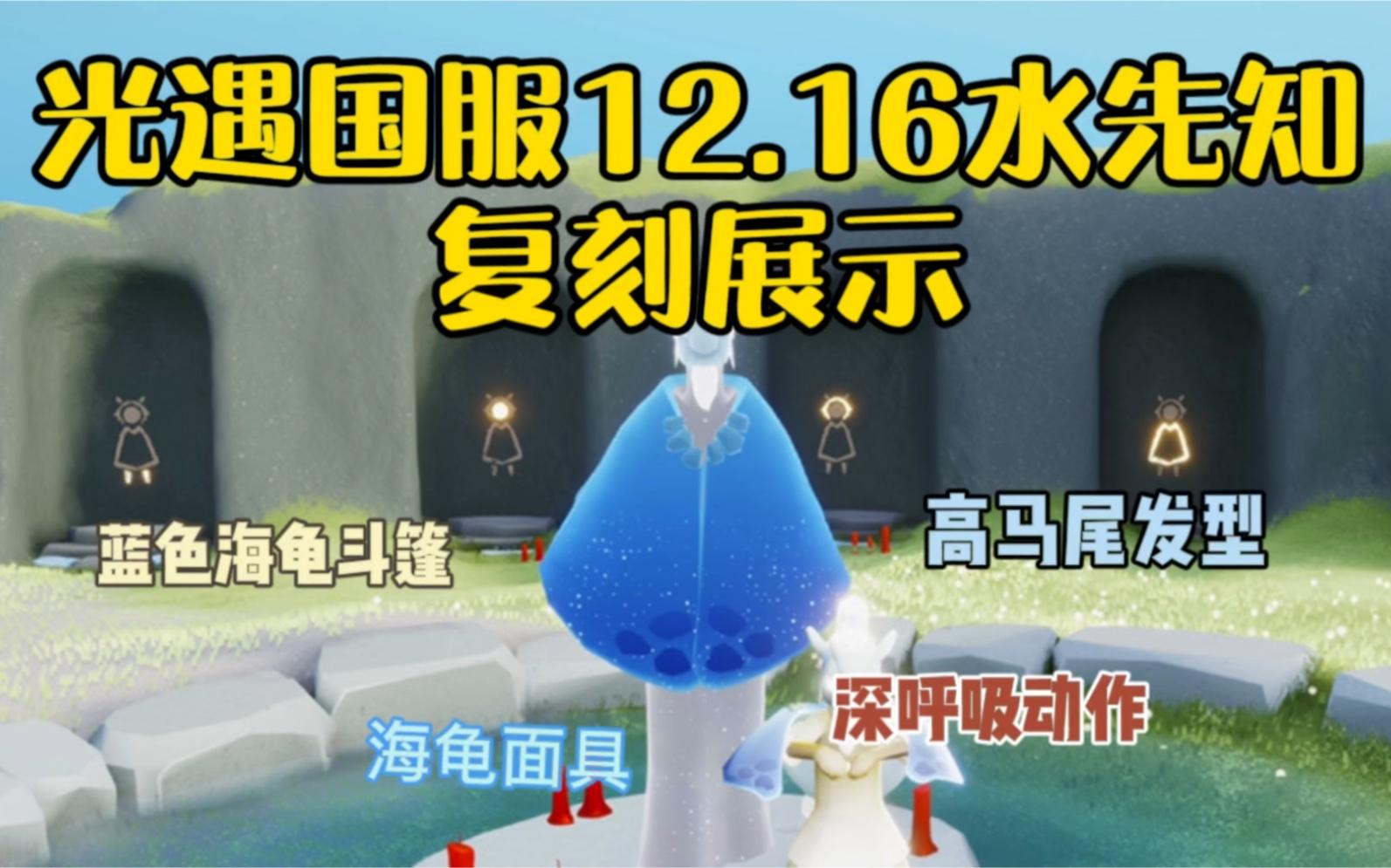 海龟斗篷(海龟套装效果)