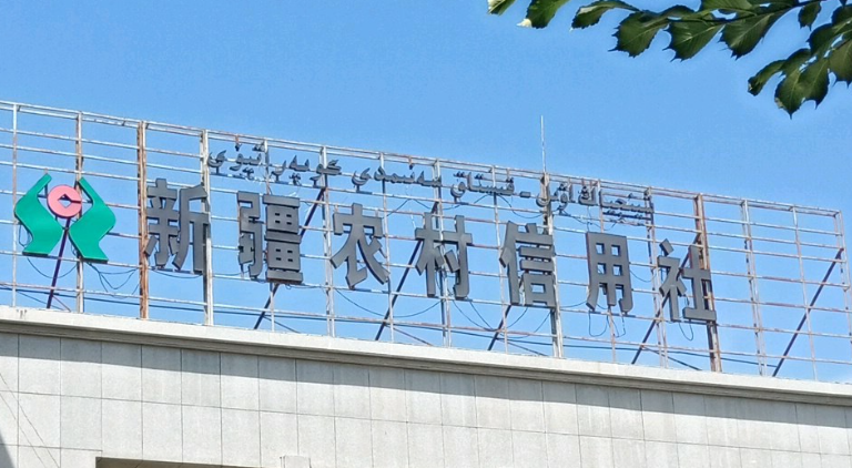 新疆农村信用社95566人工服务(新疆农村信用社95566人工服务怎么转)