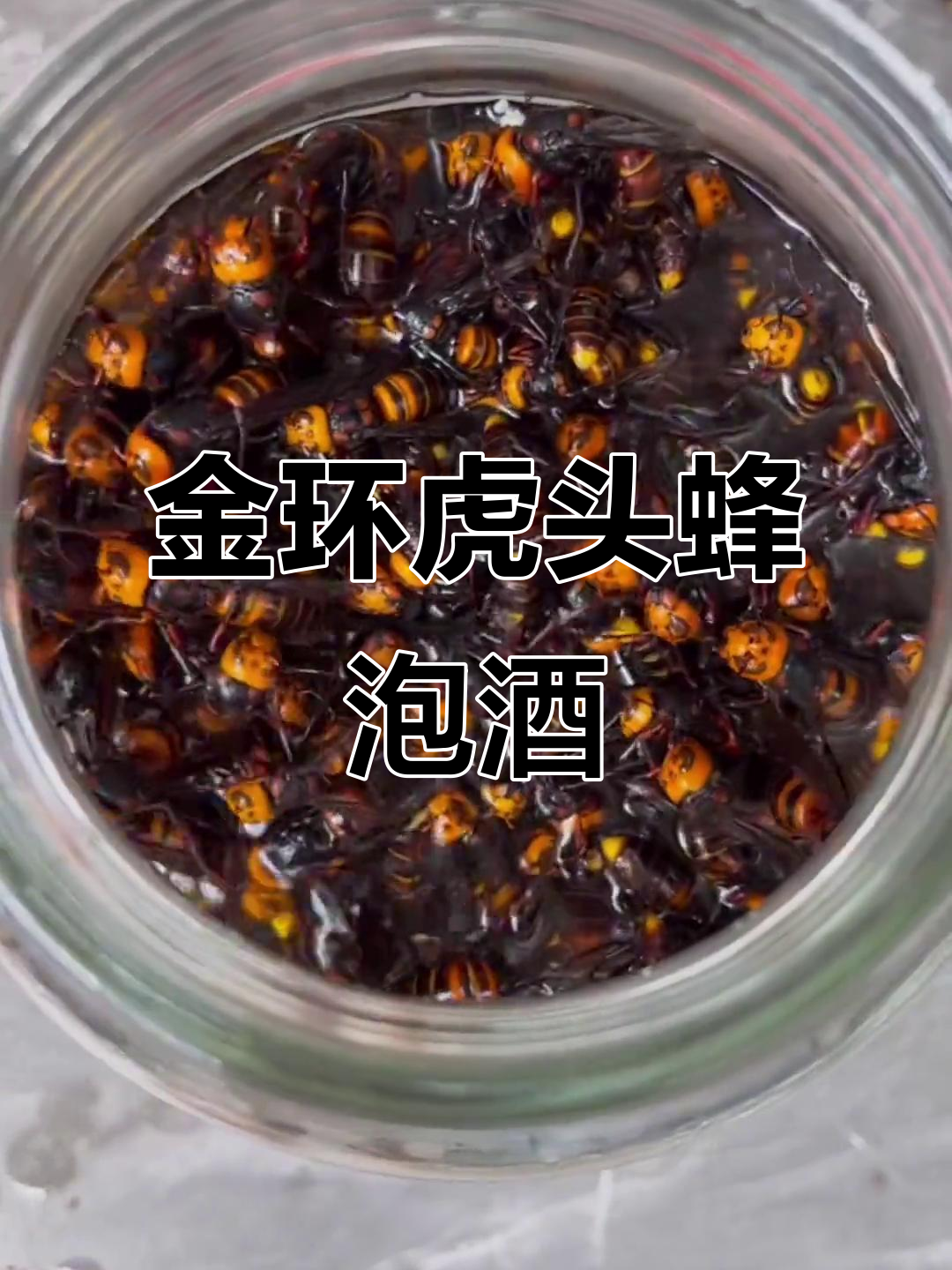 虎头蜂泡酒有什么功效(虎头蜂泡酒的功效与危害)