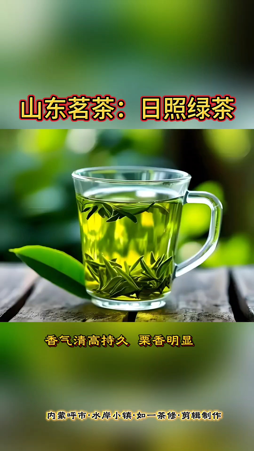日照绿茶(日照绿茶属于什么档次)