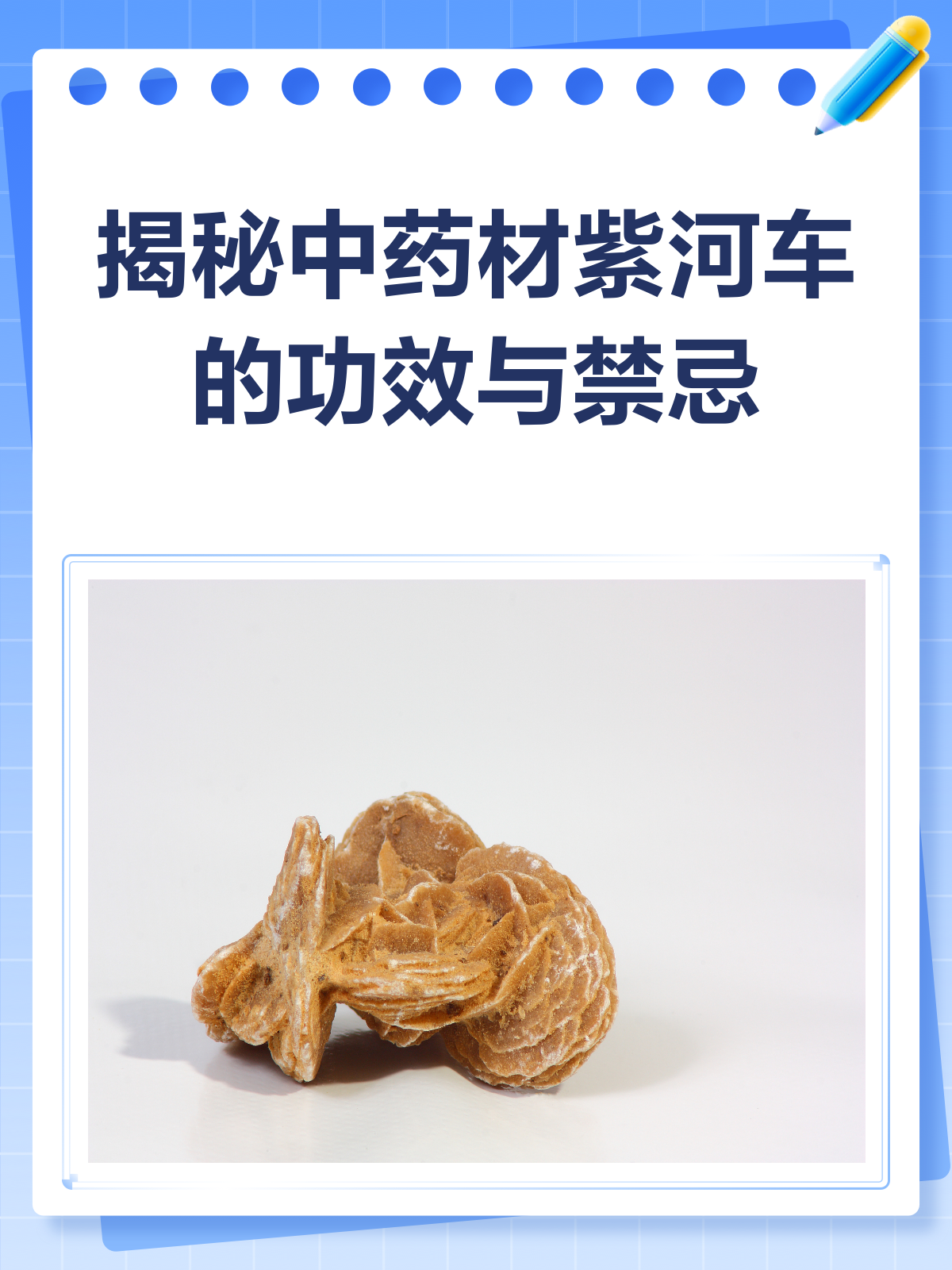紫河车图片(什么是紫河车图片)