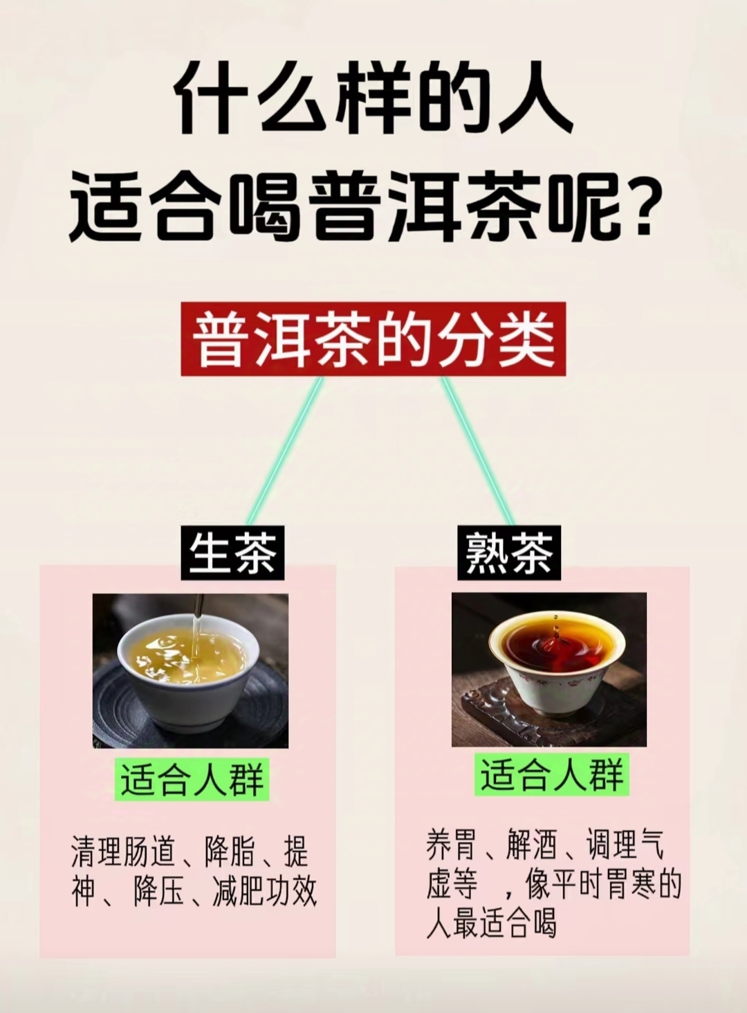 熟普洱和生普洱哪个好(熟普洱和生普洱的区别在哪里)