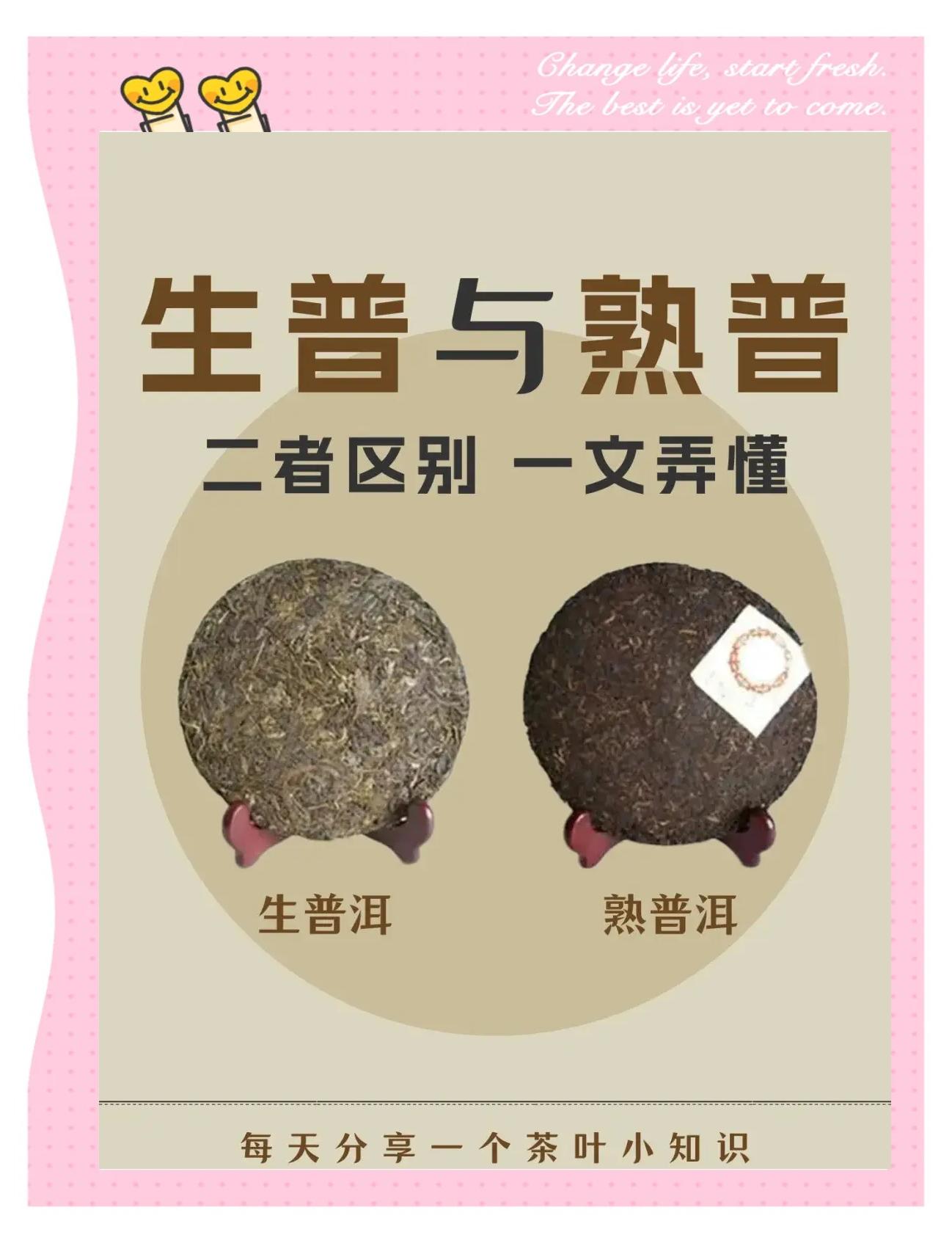 熟普洱和生普洱哪个好(熟普洱和生普洱的区别在哪里)