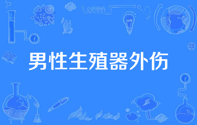 关于男人生殖器图的信息