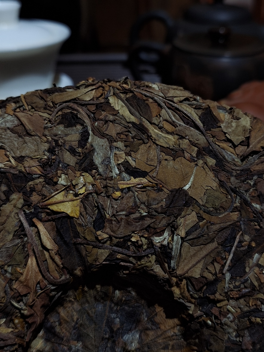班盆古树茶特点(班盆古树红茶特点?)