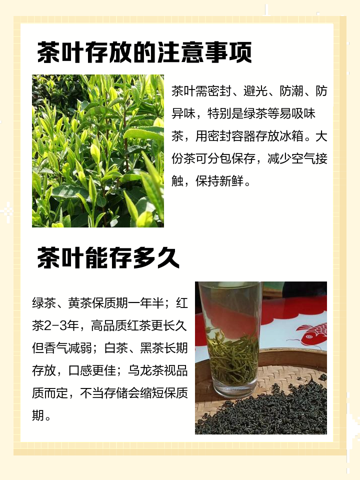 茶叶冷藏好还是冷冻好(铁观音茶叶冷藏好还是冷冻好)