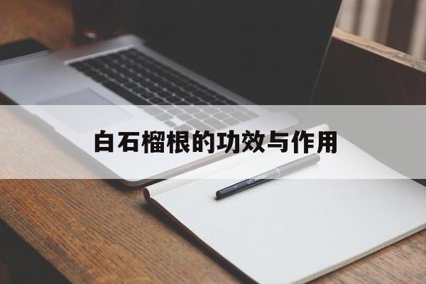 白石榴根的功效与作用(白石榴根的功效与作用及禁忌)