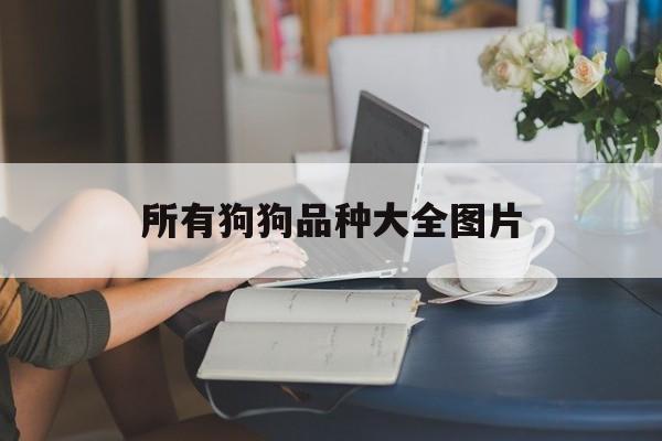 所有狗狗品种大全图片(所有狗狗品种大全图片毛特黄色)